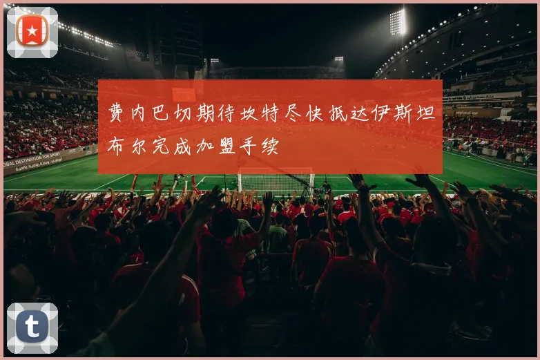 费内巴切期待坎特尽快抵达伊斯坦布尔完成加盟手续