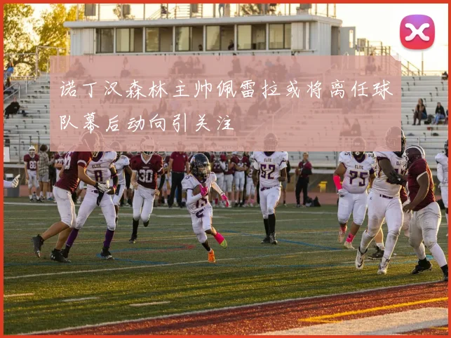 诺丁汉森林主帅佩雷拉或将离任球队幕后动向引关注