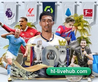 国际化进程